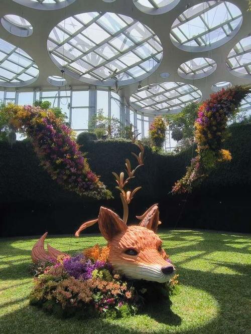 上海植物园今日头条,探秘春日花海，赏花指南新鲜出炉！