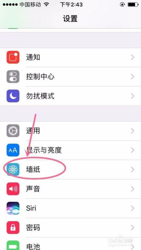 网红突然不更新微博了,微博更新戛然而止，真相成谜