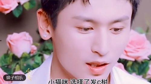 创效明星材料怎么写,创新驱动，效益倍增之路