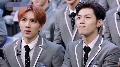 粉丝追明星保,揭秘明星保生成背后的疯狂世界