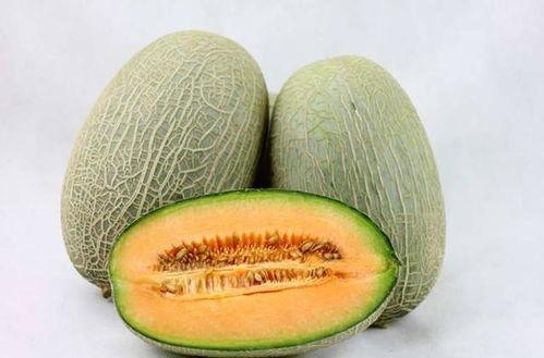 吃遍新疆哈密瓜,尽享丝路明珠的甜蜜诱惑