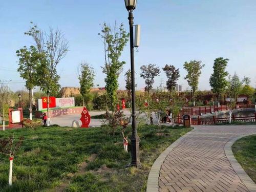 合阳先网红,揭秘网络红人的崛起之路