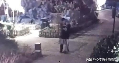 靖江吃瓜事件视频,一场网络热议的真相揭秘