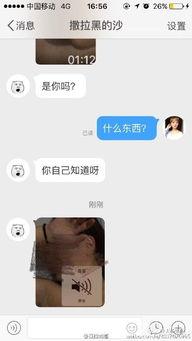 小鲜肉 网红 约炮,揭秘网络社交背后的暗流涌动