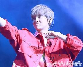 明星对鹿晗演唱会评价,一场视听盛宴的巅峰之作