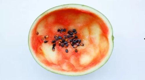 廊坊吃瓜案件真相揭秘,揭开背后真相，还原事件始末