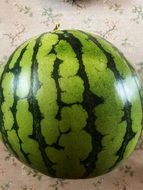 广西演艺职业吃瓜,职业吃瓜背后的娱乐生态探秘