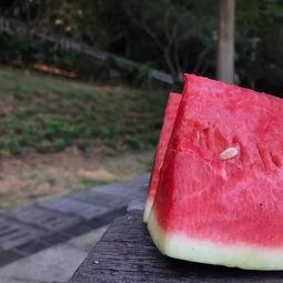 累了吃瓜图片大全,揭秘“累了吃瓜”图片大全的趣味瞬间