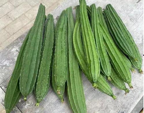 绿色精灵吃瓜,绿色精灵的甜蜜瓜果盛宴