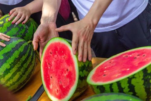 子妍吃瓜,揭秘娱乐圈幕后故事