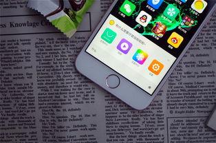 网红给手机,探索网红手机背后的魅力与科技”