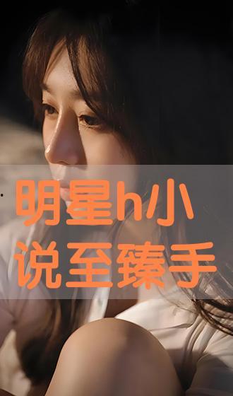 关于明星h小说,揭秘明星H背后的故事
