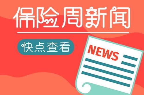 偃师新闻头条2019,重大事件与民生焦点盘点