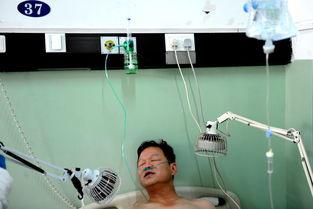 候宁头条,揭秘热点事件背后的真相与影响