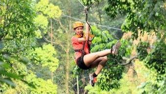 广东网红丛林飞跃图片,挑战极限的空中探险之旅