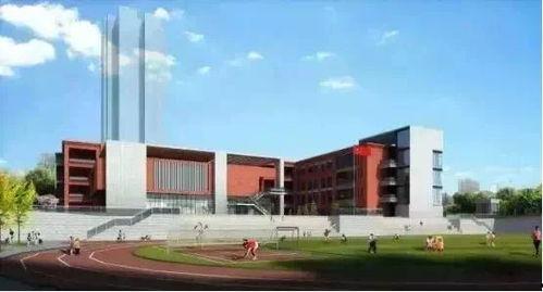 湛江江南新区新闻头条号,聚焦发展新引擎，打造现代化宜居新城区